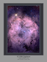 IC1396 Cepheus